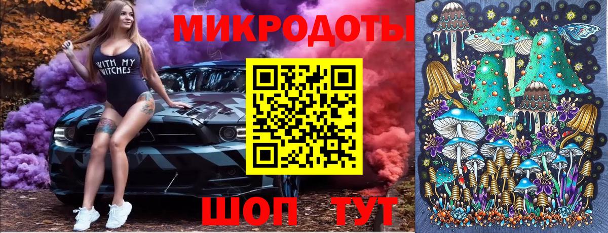 Псилоцибиновые грибы Cubensis Астрахань